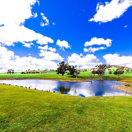 Hillview Farmstay Gundagai Dış mekan fotoğraf