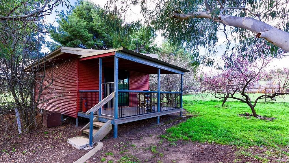 Hillview Farmstay Gundagai Dış mekan fotoğraf