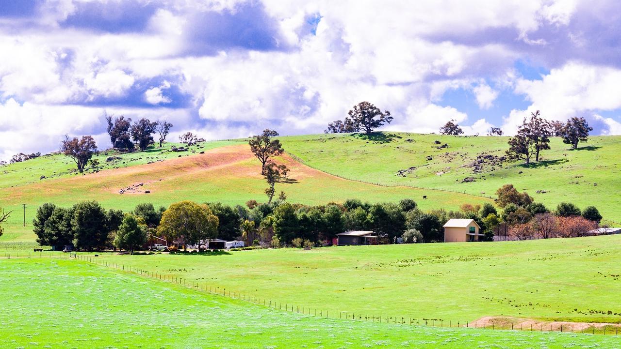 Hillview Farmstay Gundagai Dış mekan fotoğraf