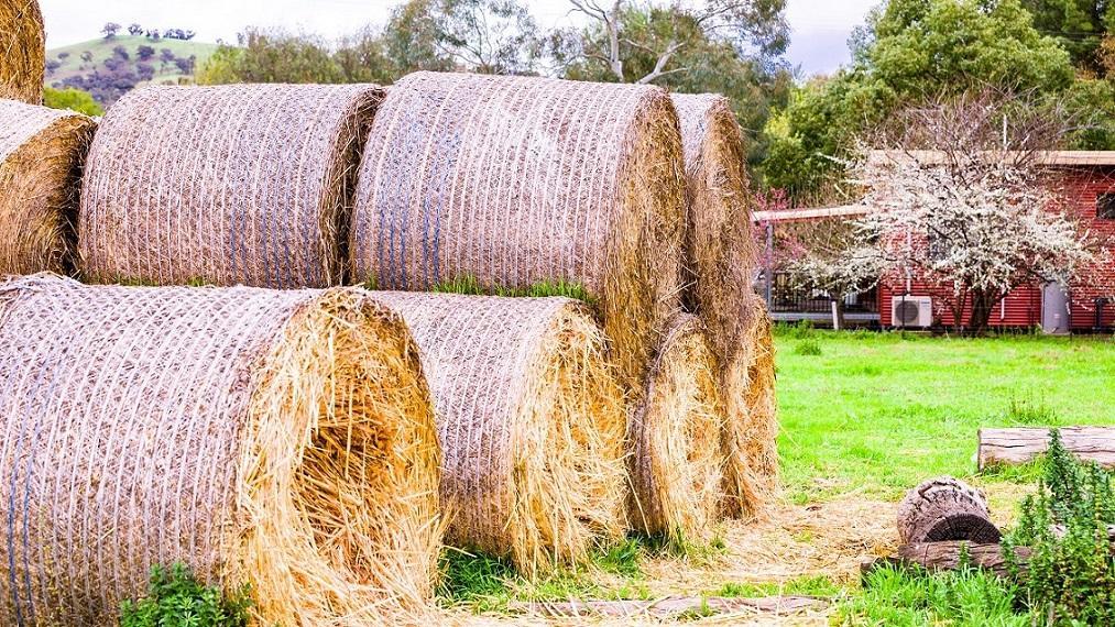 Hillview Farmstay Gundagai Dış mekan fotoğraf