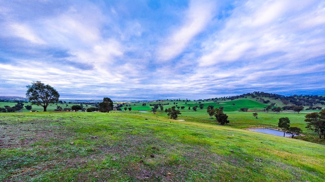 Hillview Farmstay Gundagai Dış mekan fotoğraf