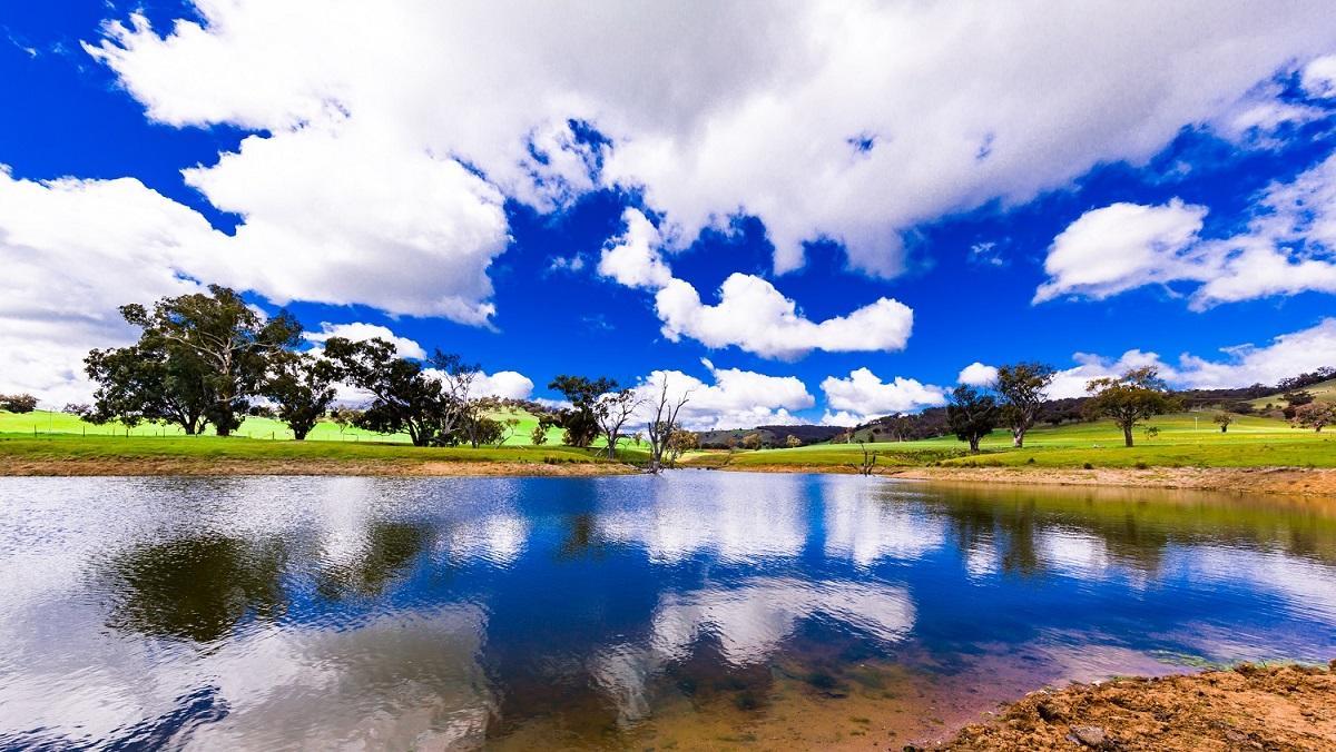 Hillview Farmstay Gundagai Dış mekan fotoğraf