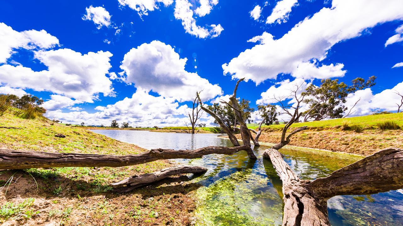 Hillview Farmstay Gundagai Dış mekan fotoğraf