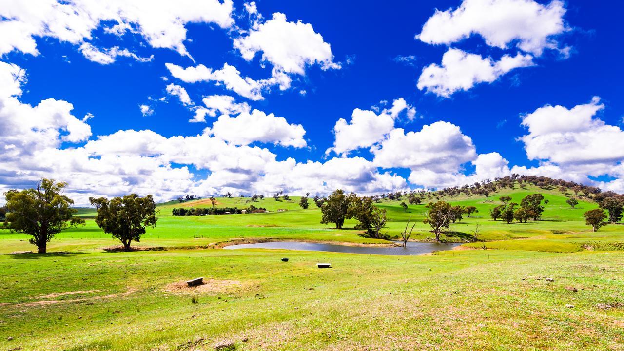 Hillview Farmstay Gundagai Dış mekan fotoğraf