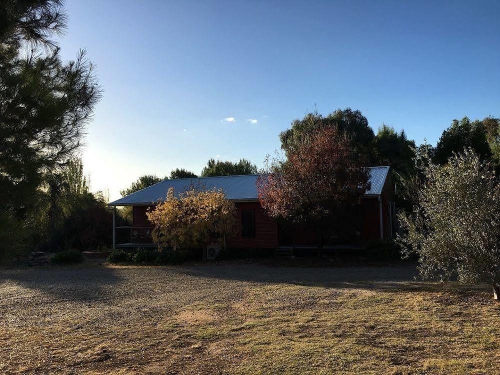 Hillview Farmstay Gundagai Dış mekan fotoğraf