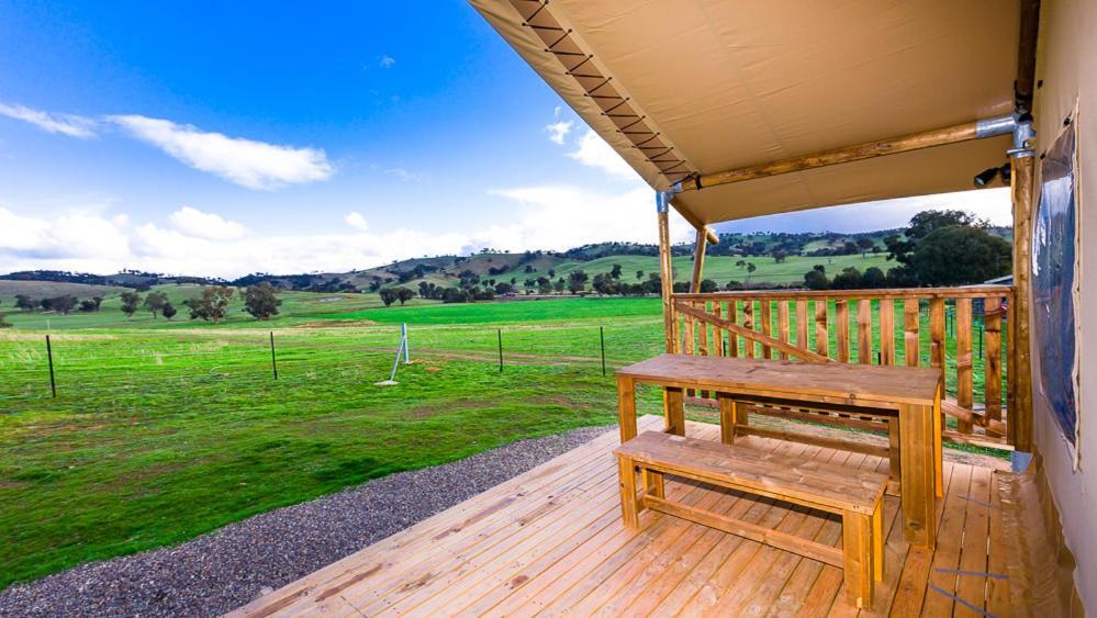 Hillview Farmstay Gundagai Dış mekan fotoğraf